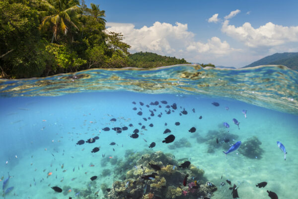 Annapolis Port - Rent a catamaran in Maryland or the Bahamas